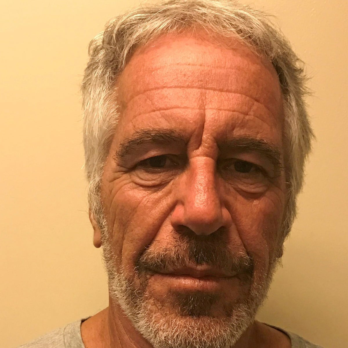 Jeffrey Epstein’s high-profile social circles details from unsealed documents.